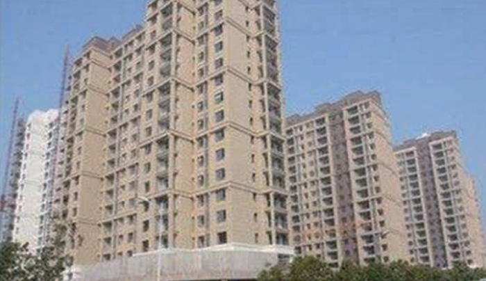 金鹰3号